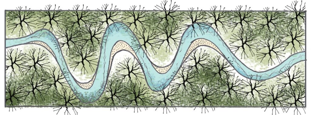 creek restored horozontal narrow margins